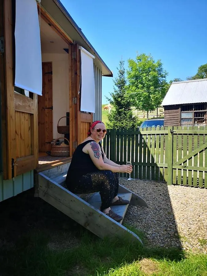 Luxury tent The Llama Hut Kirklevington United Kingdom